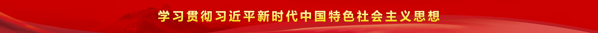 学习贯彻习近平新时代中国特色社会主义思想