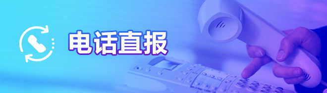 电话直报